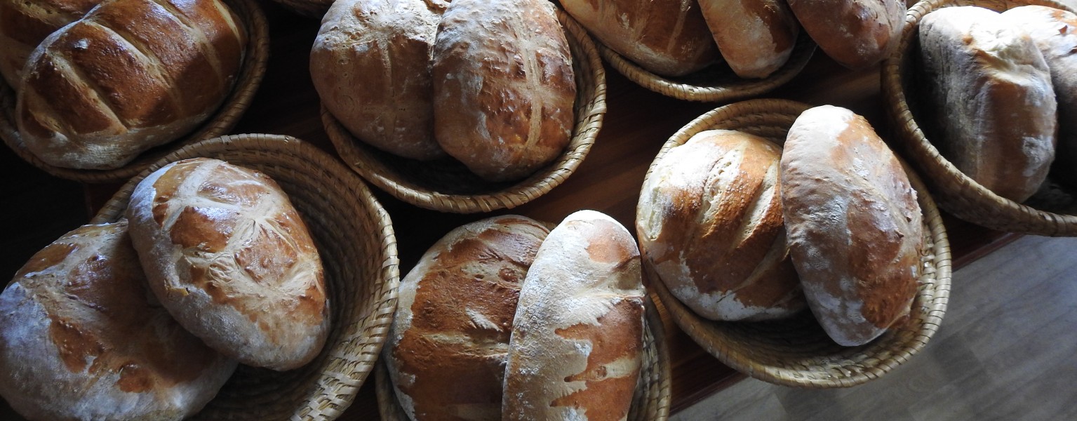 /new/crni-vrh-a-trip-with-experiences