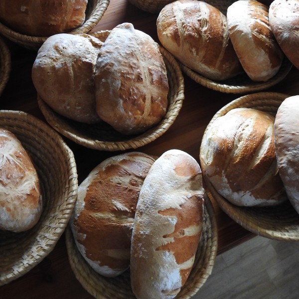 /new/crni-vrh-a-trip-with-experiences